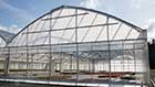 Arch Greenhouse