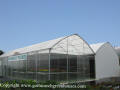 AT Greenhouses