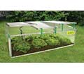 BioStar Premium Cold-Frame