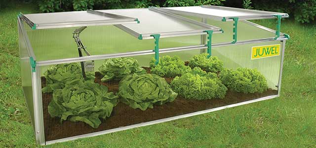 BioStar Premium Cold-Frame