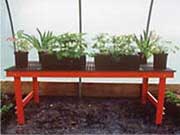 Stationary Growing Bench Systems-Fixed Legs