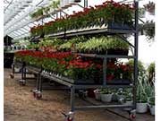 3-Level Display Benches