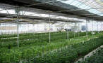 Environmental Control System