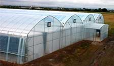 BK Greenhouse Structure and Covering  
