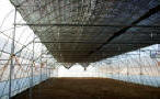 shade Systems