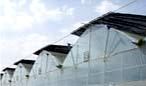 Roof Top Shading