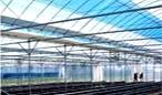 Structural Components