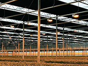 Blackout Shade System