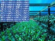 ChromatiNet Blue Shade Cloth 