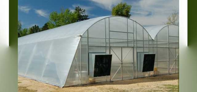 Classic Greenhouse