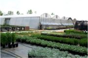 Classic Greenhouse