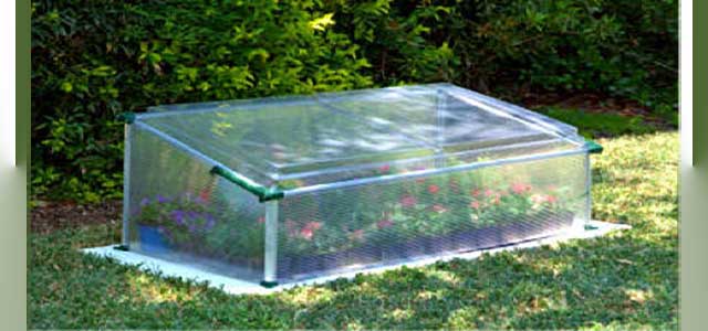 Cold Frame Single