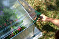 Cold Frame Single