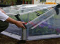 Mini Greenhouse Cold Frame Double