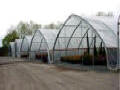 Cold Frame Series 1200 Greenhouse
