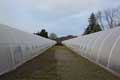 Cold Frame Series 1000 Greenhouse