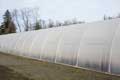 Cold Frame Series 1000 Greenhouse