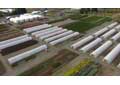 Cold Frame Series 1000 Greenhouse