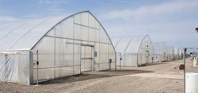 Cold Frame Series 1200 Greenhouse