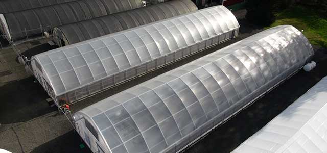 DF Greenhouse