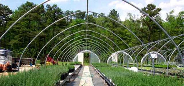 Greenhouse Cold Frames