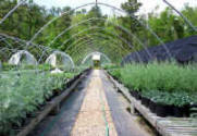 Cold Frames - J Series