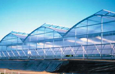 commercial greenhouse kits