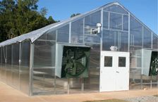 Commercial Greenhouse - A-Frame 