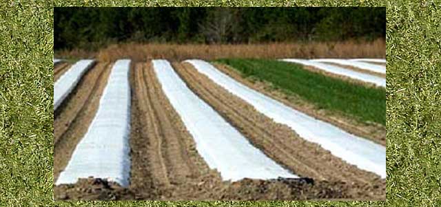 Crop Covers