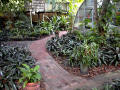  12' x 12' Gothic Arch Greenhouses