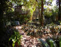 12' x 12' Gothic Arch Greenhouses