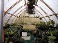 14' x 20' Gothic Arch Greenhouse Photo Gallery