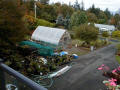 14' x 20' Gothic Arch Greenhouse Photo Gallery