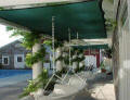 Gothic Arch Greenhouses Review - J. Graves