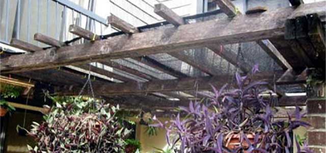 Gothic Arch Greenhouses Review