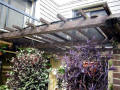 Gothic Arch Greenhouses Review - J. Willard