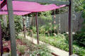 Gothic Arch Greenhouses Review - J. Graves