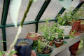 Gothic Arch Greenhouses Review - J. Graves