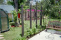 Gothic Arch Greenhouses Review - J. Graves