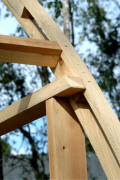 Gothic Arch Greenhouse Projects
