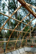 Gothic Arch Greenhouse Projects