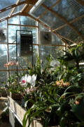 Greenhouse Projects