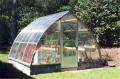 12' x 12' Gothic Arch Greenhouse