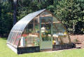 12' x 12' Gothic Arch Greenhouse