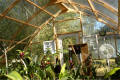 Gothic Arch Greenhouse Projects
