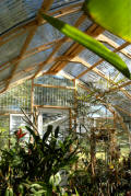 Greenhouse Projects