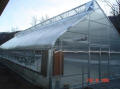 Gothic Arch Greenhouse Projects