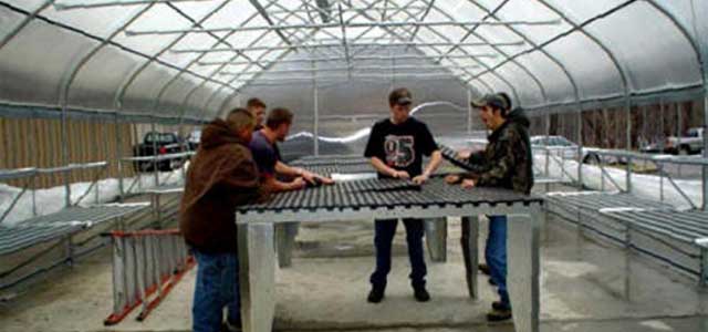 Gothic Arch Greenhouses Review