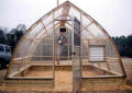  12' x 12' Gothic Arch Greenhouse Photo Gallery