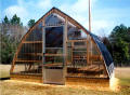  12' x 12' Gothic Arch Greenhouse Photo Gallery
